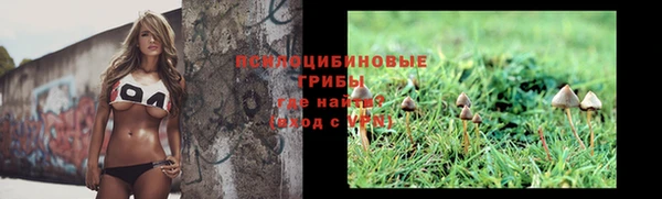 apvp Дмитровск