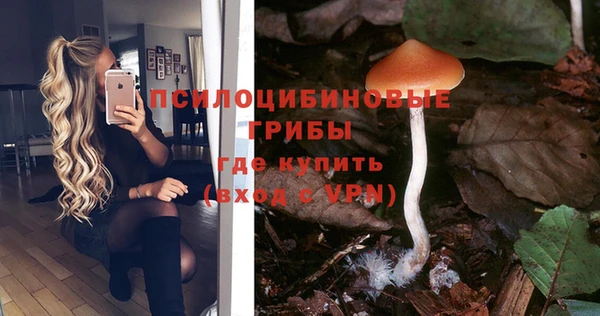 альфа пвп VHQ Дмитриев