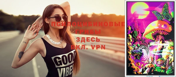 apvp Дмитровск