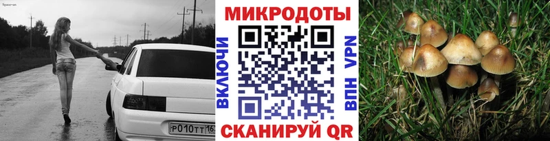 Галлюциногенные грибы Psilocybe  Купить где  Кировград 